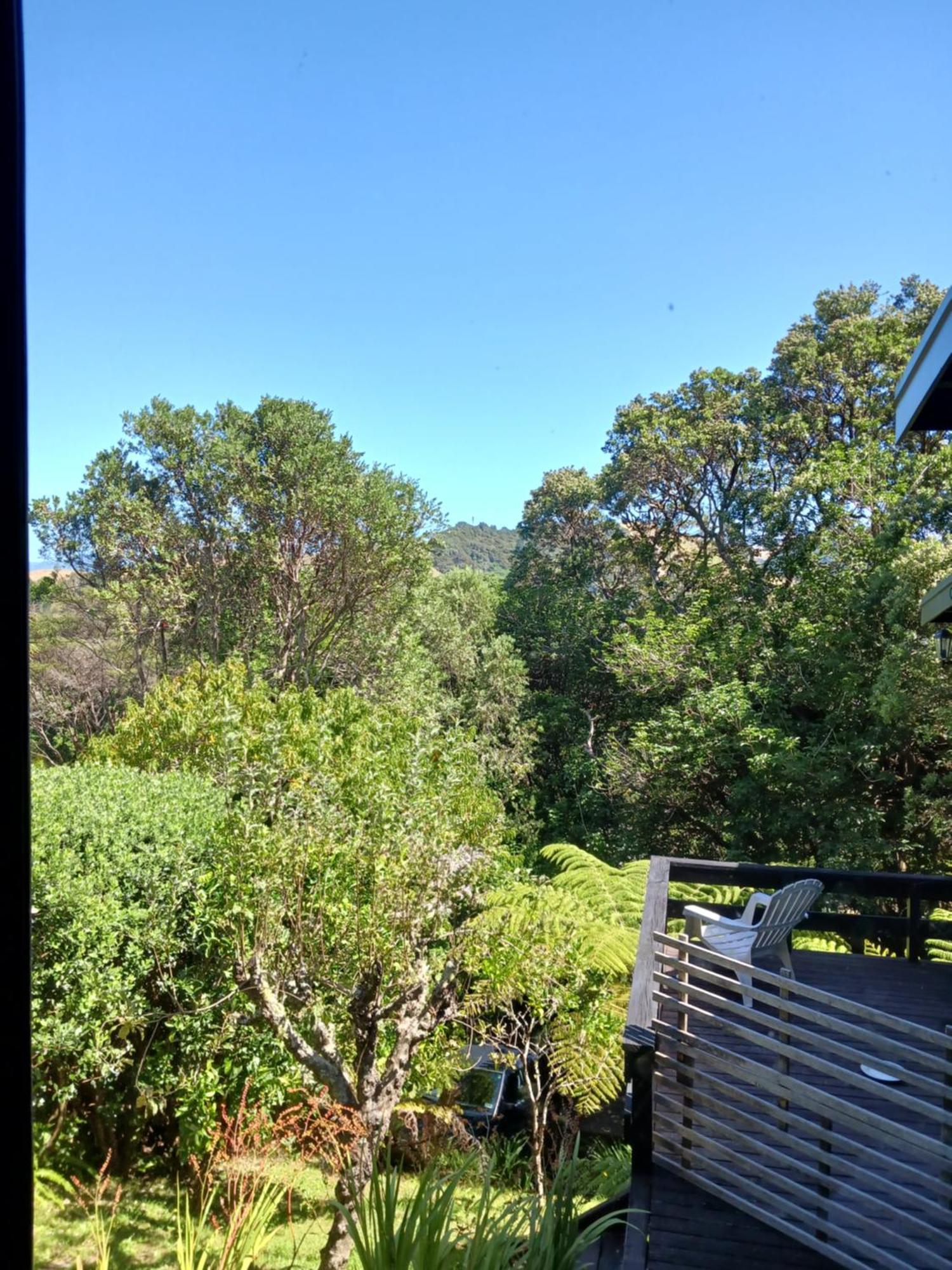 Bed and Breakfast The Annex Whitianga Esterno foto